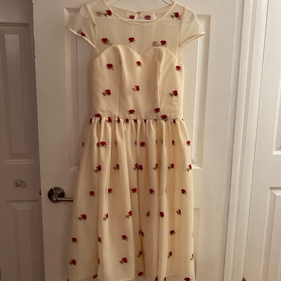 Magnolia Park Vintage Style Tulle Dress with embroidered roses - Picture 2 of 10